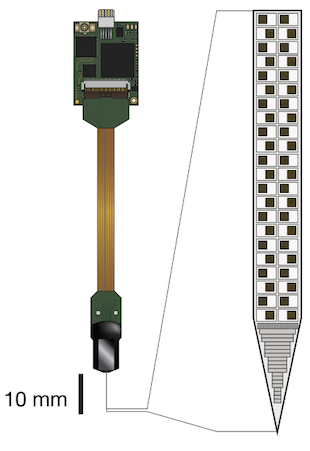 Neuropixels